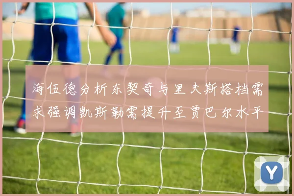 海伍德分析东契奇与里夫斯搭档需求强调凯斯勒需提升至贾巴尔水平