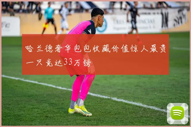 哈兰德奢华包包收藏价值惊人最贵一只竟达33万镑